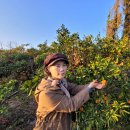 미로파크 이미지