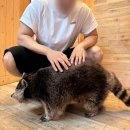 라미닥 | 포항 이색데이트 송도해수욕장 근처 애견카페 라미닥 내돈내산 후기