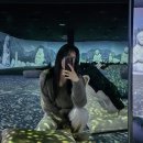 태백로컬푸드샵 | 영월 실내 관광지, 영월관광센터 미디어아트 푸드코트 카페 재미나
