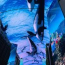 하이스트리트 이미지