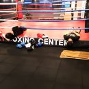 팀제이티 복싱센터 이미지