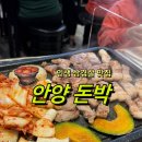안양 비산동 돈박 | 인생 삼겹살집 찾은 내돈내산 후기