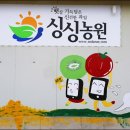 보성농원 네이버블로그