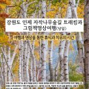 ㈜명상여행사 이미지
