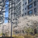판교1번지공인중개사사무소 | 인덕원 엘센트로 공인중개사 덕분에 매매부터 이사까지 완벽히 끝낸 후기