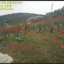 단천초 가산분교 이미지