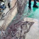 엔카공업사 이미지