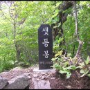 우래골 대추나무 농원 이미지