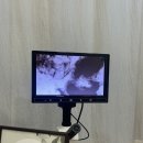 마임분당판교드림 | 분당에스테틱 데콜테 진정관리 - 판교백현 올가드림뷰티 후기
