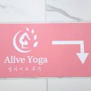 얼라이브요가
