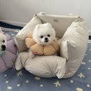 펫하우스 | 털 안붙는 강아지카시트 추천, 4kg 6kg 사용 비교 초코펫하우스 후기