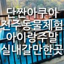김제호두마루애견카페샵 | 김제 단짠아쿠아 카페 전주 실내 동물체험 전주근교 모넬로 근처 아이랑 주말 갈만한 곳