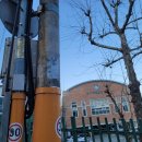 대덕초등학교 담장  이미지