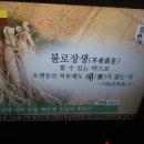 장생인삼
