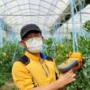 롯데과일 이미지