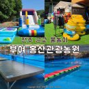 전주 근교 물놀이 아이랑 가볼만한곳 부여 홍산관광농원 내돈내산 수영장 후기