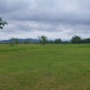 구미파크골프장 이미지