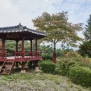 매산농원 이미지
