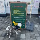 이든반려견 문화센터 | 경남 창원 펫빌리지 무료 반려견 강아지놀이터