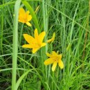 기시기천 이미지