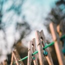 세탁의모든것 이미지