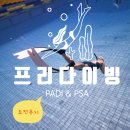 송파 프리다이빙 자격증 도전 PADI PSA 레벨 강습비 홀드브레스 내돈내산 강습후기