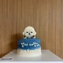 천안강아지케이크 천안강아지수제간식 두정동 댕댕이네 내돈내산 후기