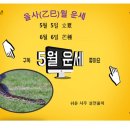 2022년 5월 운세 을사(乙巳) 일간별 이미지