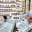 새로안안경 | 대전 태평동 안경플래너 남편 안경 새로 맞추러 방문, 솔직후기&amp;가격