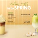 커피빈코리아 베이비뉴스