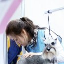 쇼독(Show dog) 네이버블로그