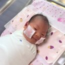 울산맘스여성병원 조리원 12박 13일 후기