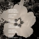 유월엔 이미지