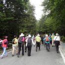 국립방장산자연휴양림 이미지