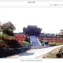 신천 이미지