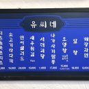 유씨네 횟집