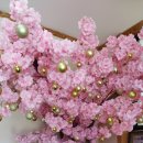 영진밥상 이미지