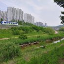 구갈레스피아공원 이미지