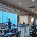 대성헬스 | 가산헬스 “면역력은 근력에서 시작된다" 회원들의 생생한 후기