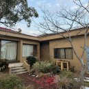 느긋한 시절 이미지