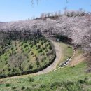 (주)부모사랑 노인복지센터 이미지