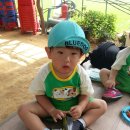 지우농원 이미지