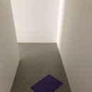 웨스(WESS) 이미지