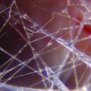 PT STUDIO THE 진심 이미지