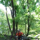 우면산5-5 이미지