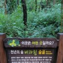 온정민박 이미지