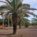 서구 월간생활문화한마당(4월) | 2025년 4월 인천 축제 드림파크 벚꽃축제 사이언스 페스티벌