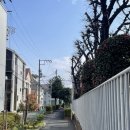 2024-01-0015 | 일본 도쿄에서 집 구하기!(유씨재팬 후기)