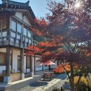 춘화원 일동펜션 이미지