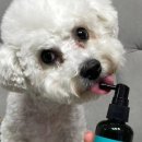 주식회사 치카치카 이미지